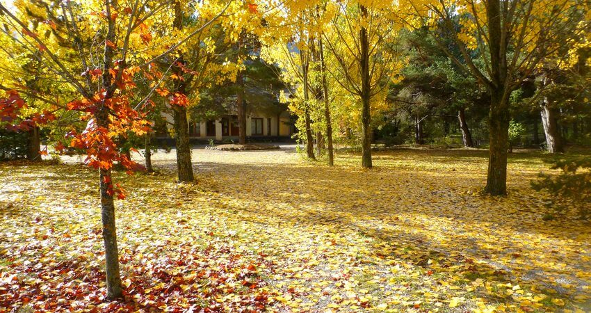 Bâtiment d’accueil en automne